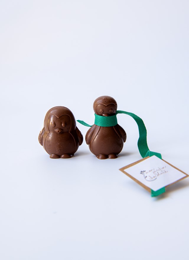Pingouins Chocolat au lait bio 2