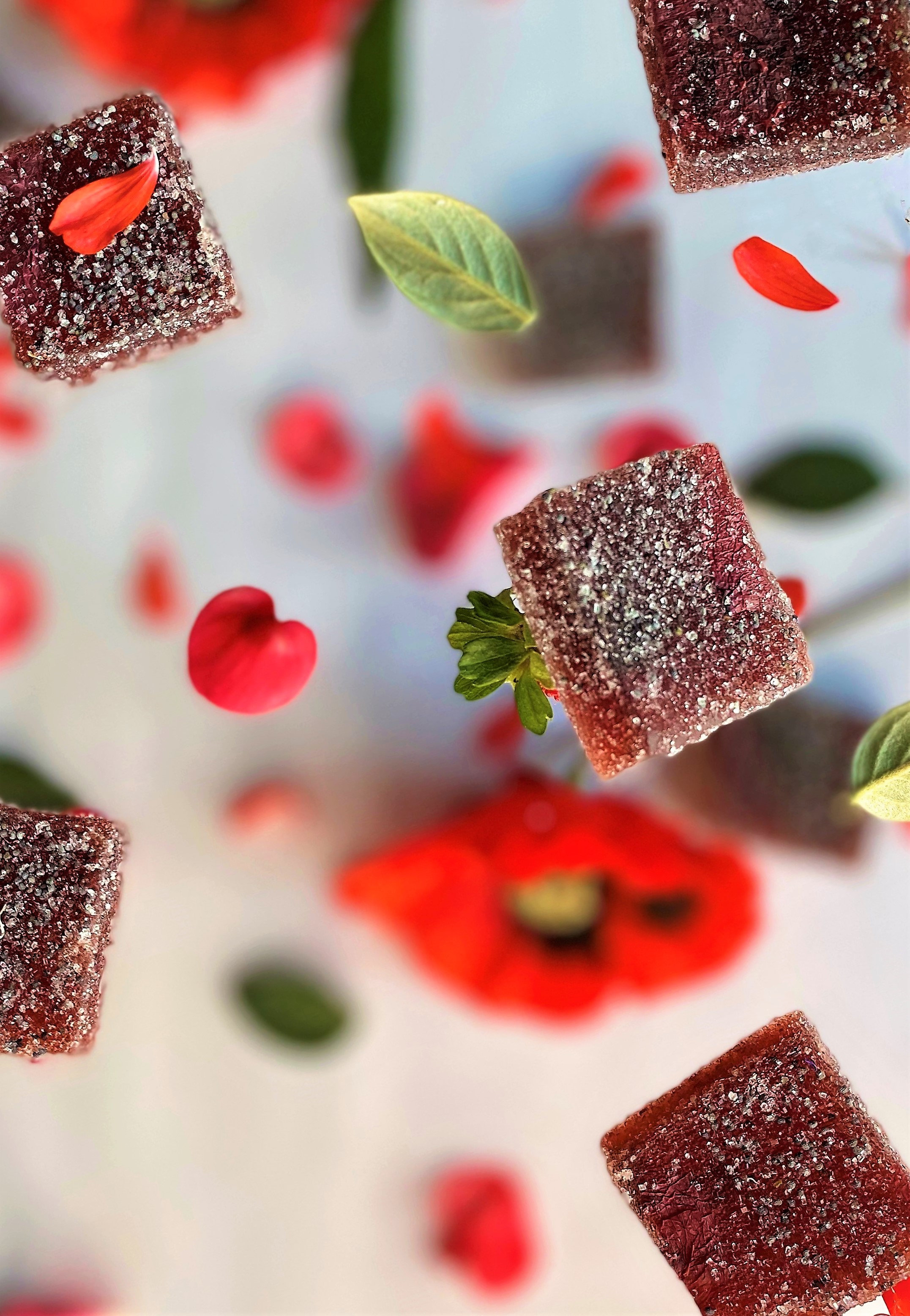 "NOUVEAUTE" Coffret Pâtes de Fleurs biologique 10 pièces : Coquelicot / Camomille 3