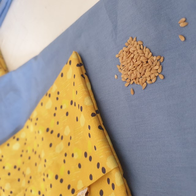 bouillotte sèche aux graines de lin bio de france