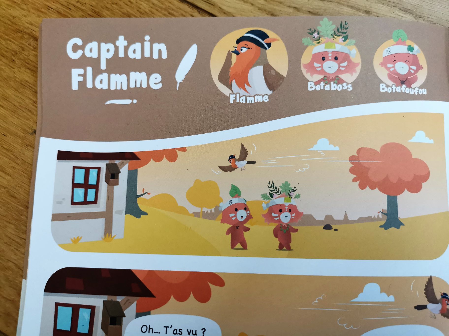 Le kit Oiseaux | Fabrique ton nichoir à oiseaux en bois 4