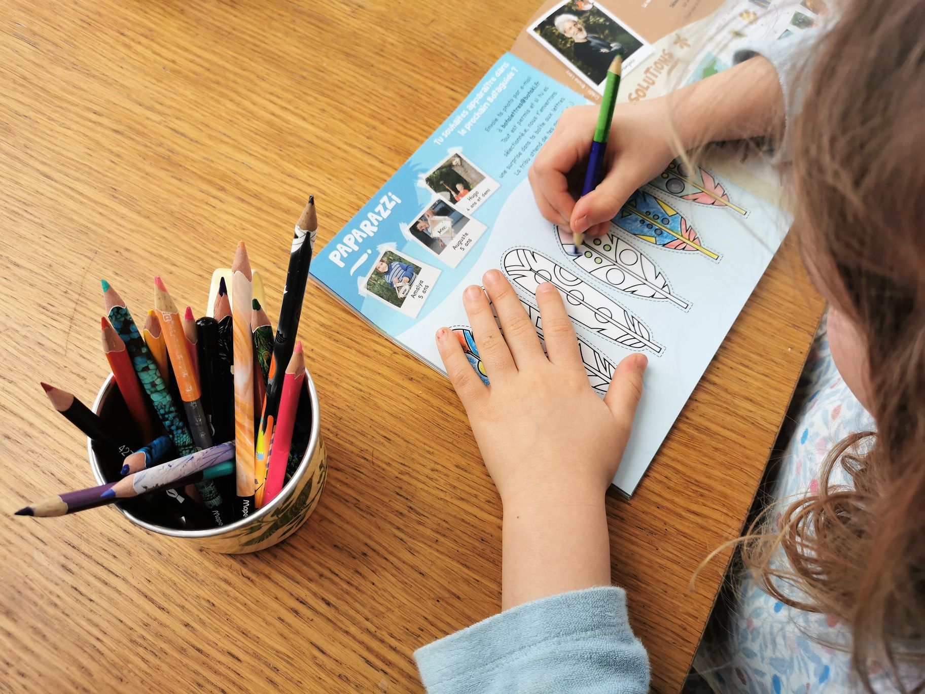 Le kit Oiseaux | Fabrique ton nichoir à oiseaux en bois 5