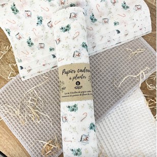 Lot de 5 feuilles de papier cadeau ensemencé 🌼🌺 - Motifs de Noël