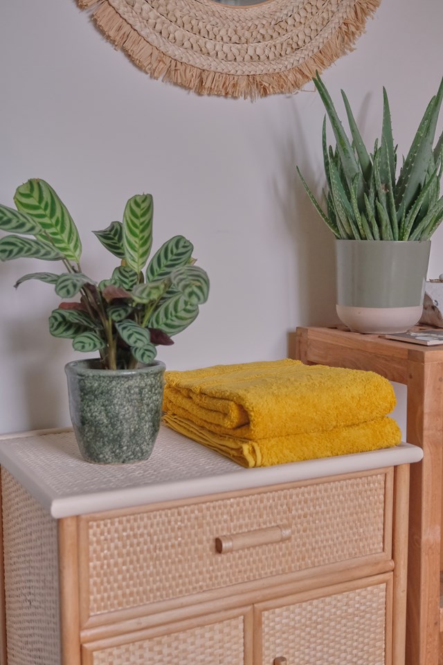 Serviette de Toilette  "Miel" en Coton 100 % Biologique 4