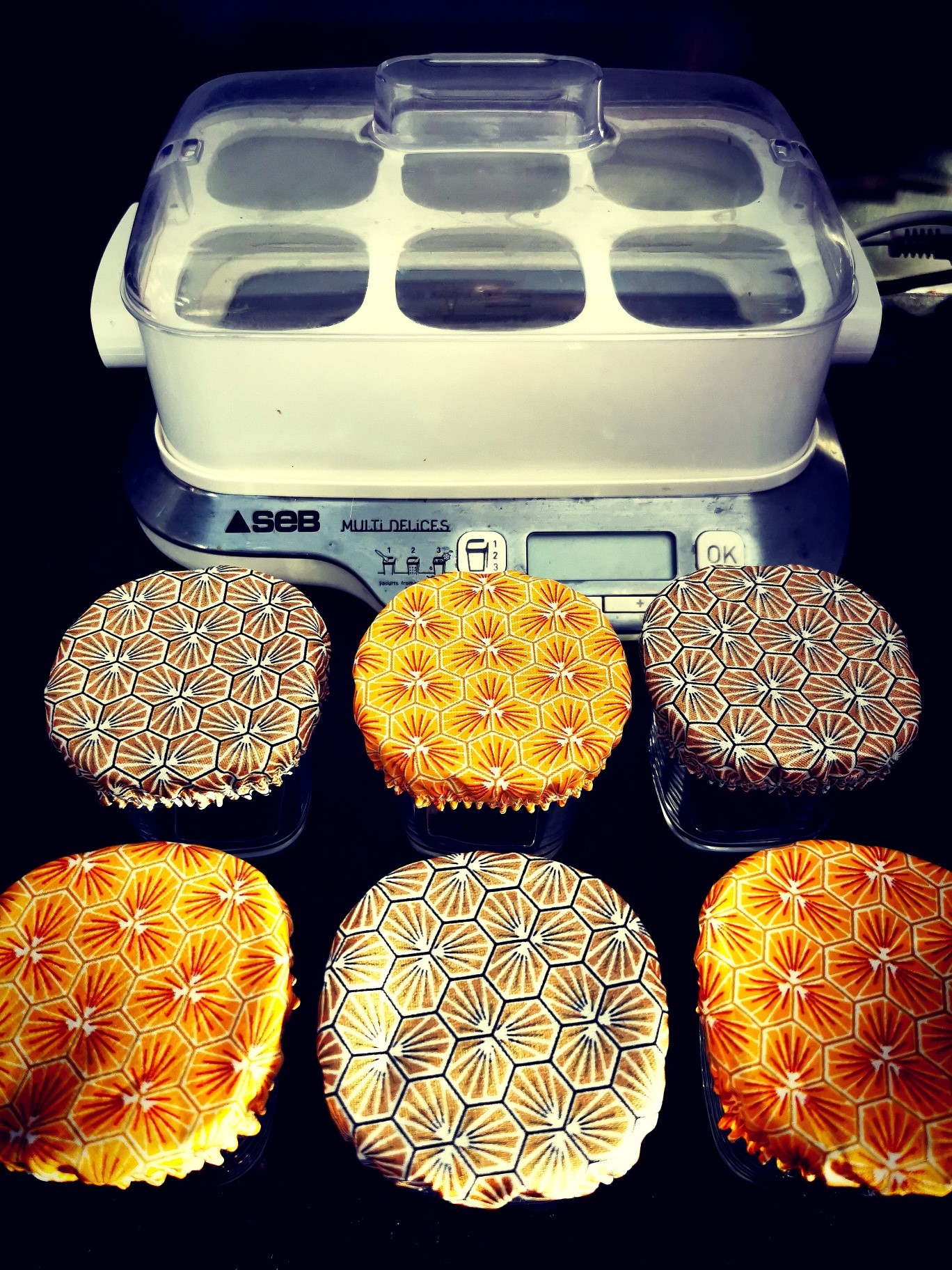 Lot de 6 charlottes couvre plat pour yaourt - Jaune 2