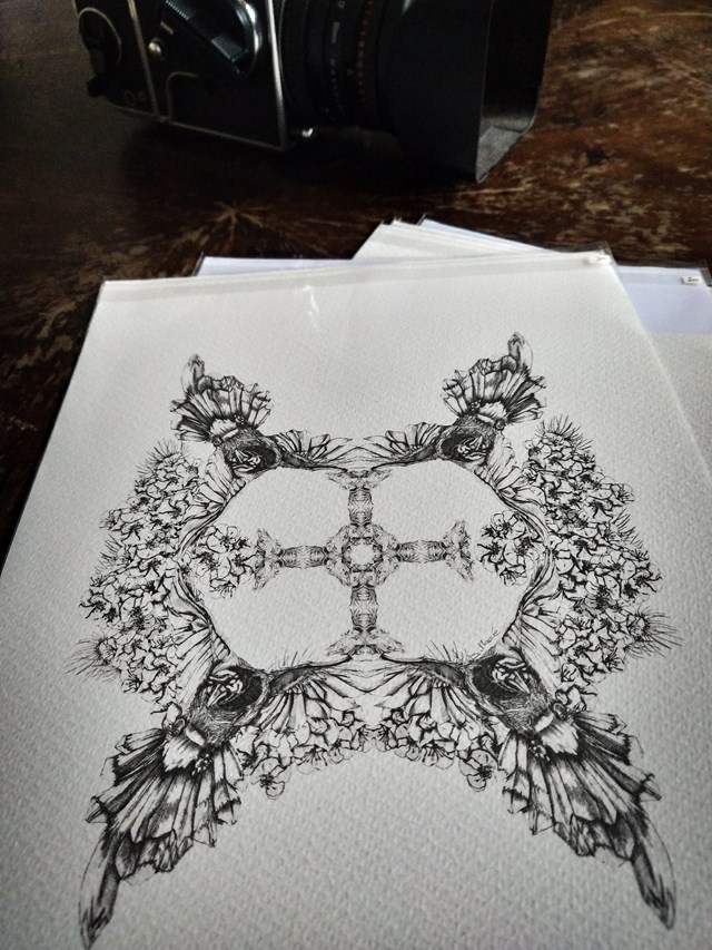 illustration, oiseaux, affichenoiretblanc, nature, animaux, kaleidoscope