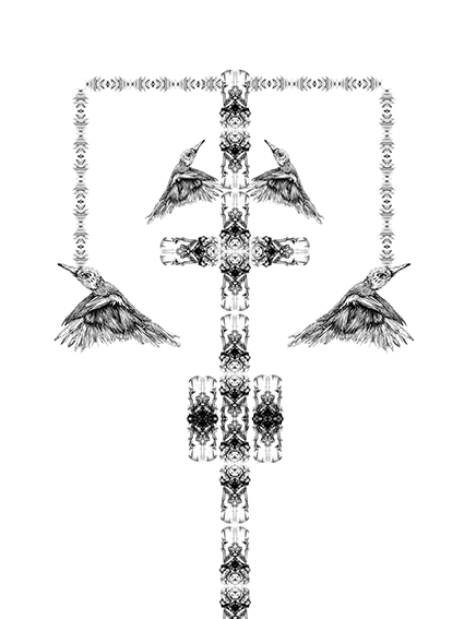 illustration, affichenoiretblanc, animaux, oiseaux, affiche, fineart