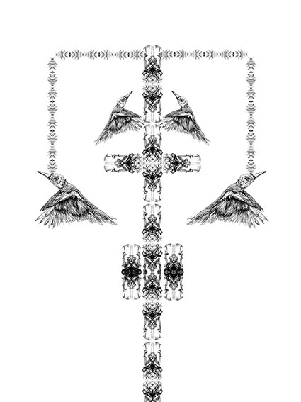 illustration, affichenoiretblanc, animaux, oiseaux, affiche, fineart