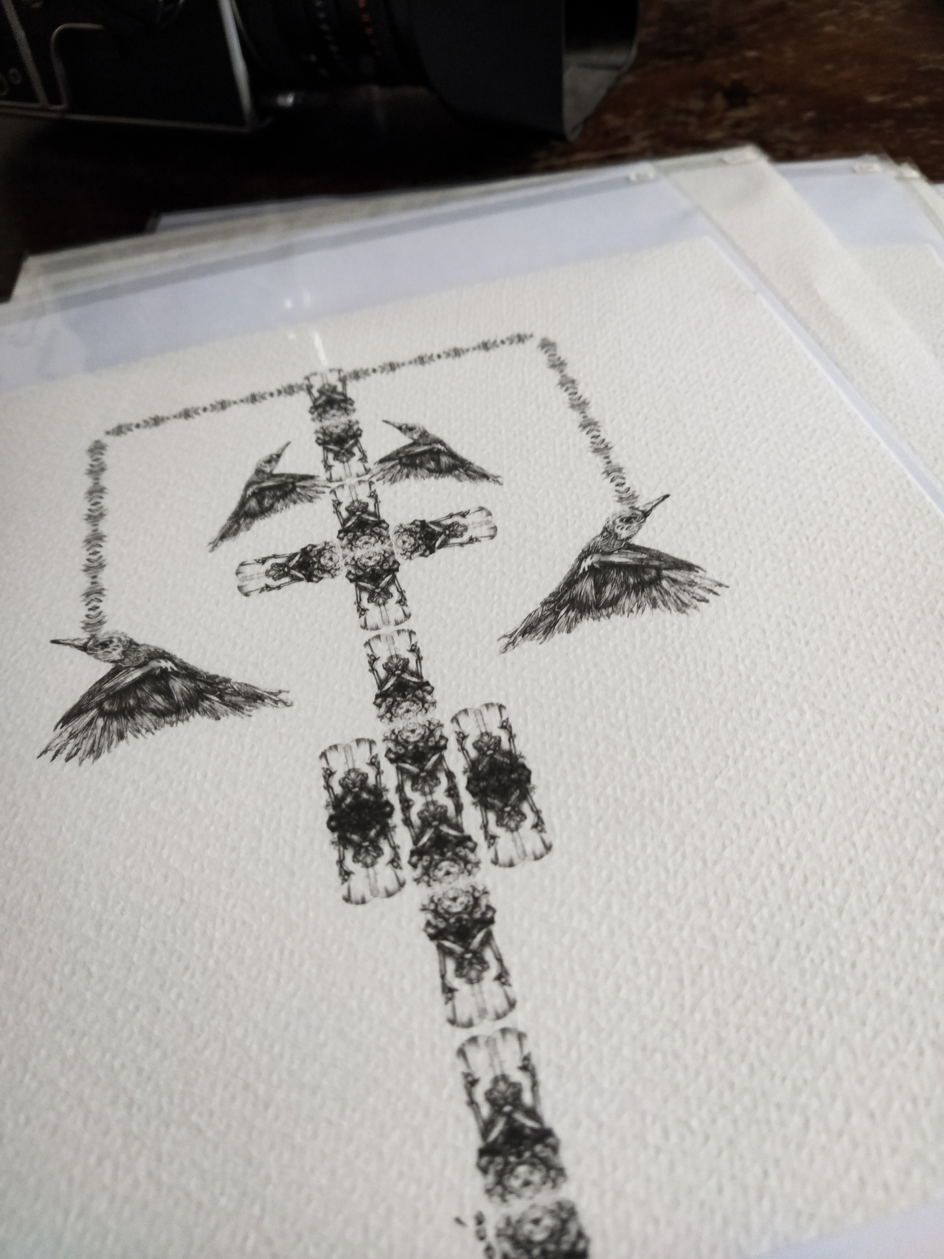 illustration, affichenoiretblanc, animaux, oiseaux, affiche, fineart