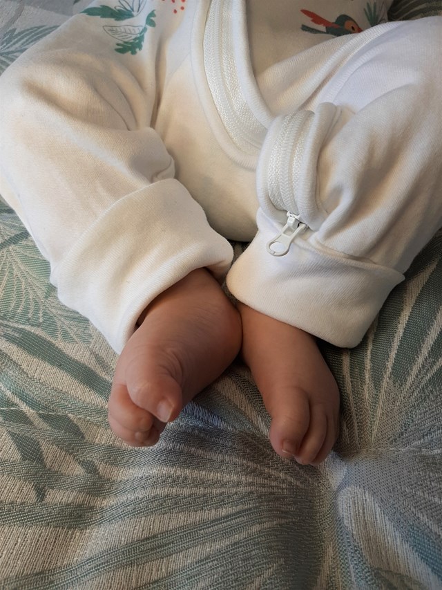 Pyjama pour bébé évolutif et à zip - 100% coton bio - collection Jungle 4
