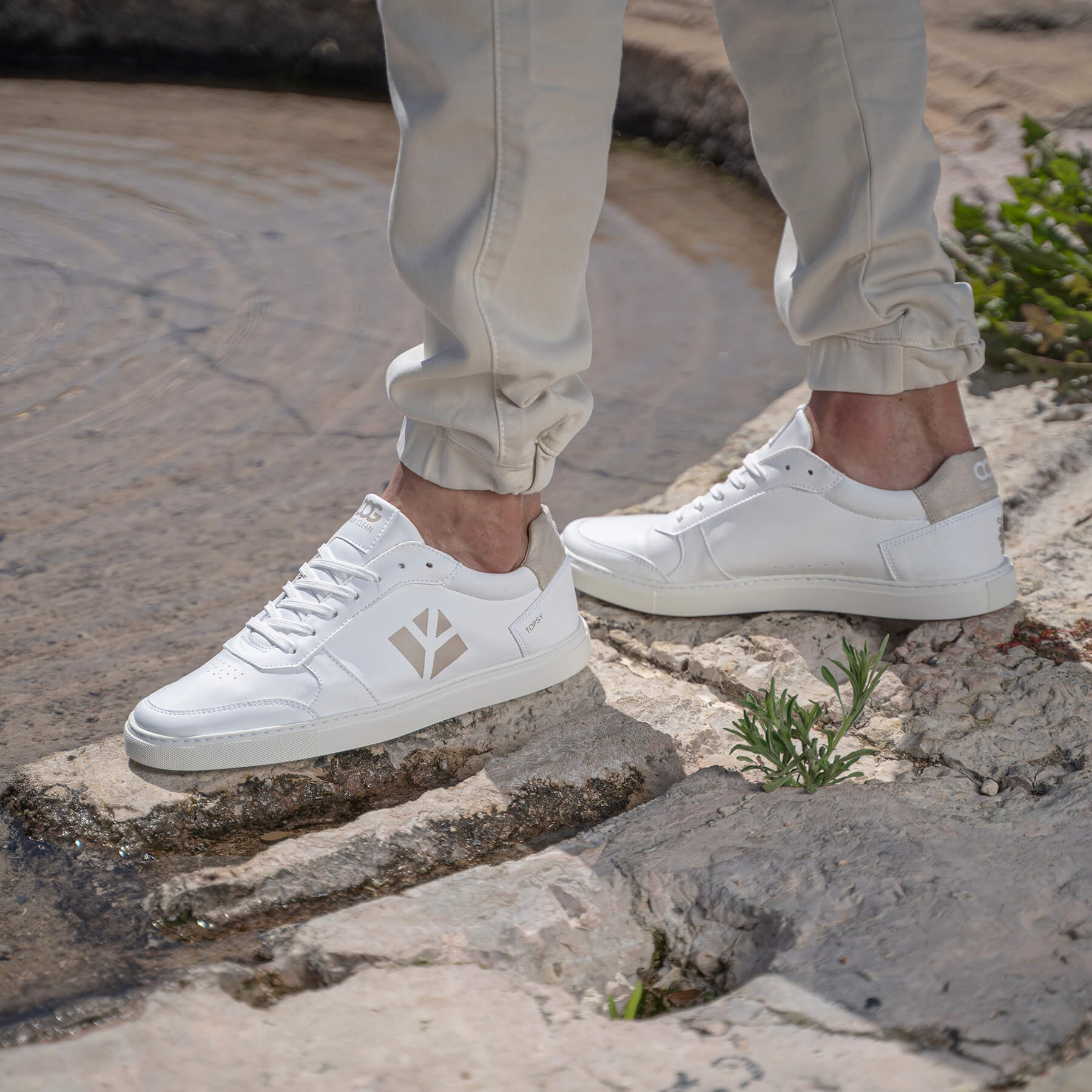 Sneaker vegan blanc et beige TOPSY de COG