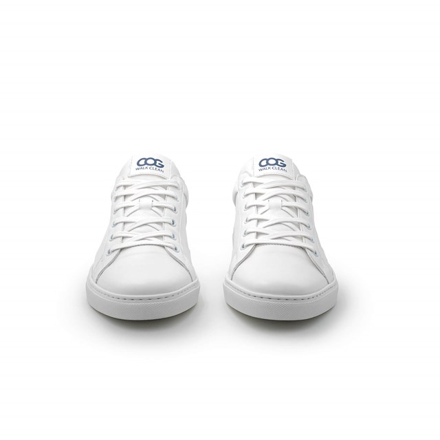 Sneaker vegan Blanc / Bleu Winton Homme 4