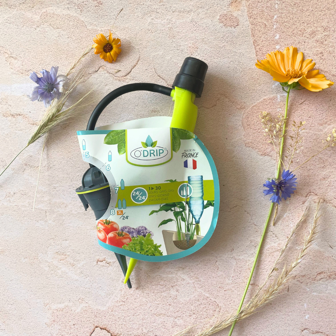 Arrosage goutte à goutte pour les plantes d'intérieur 2