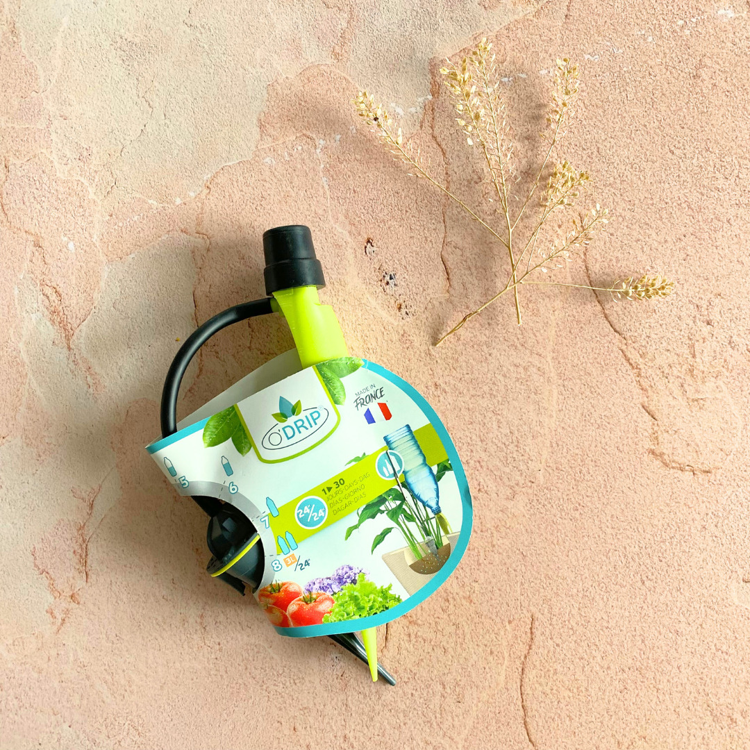 Arrosage goutte à goutte pour les plantes d'intérieur 3