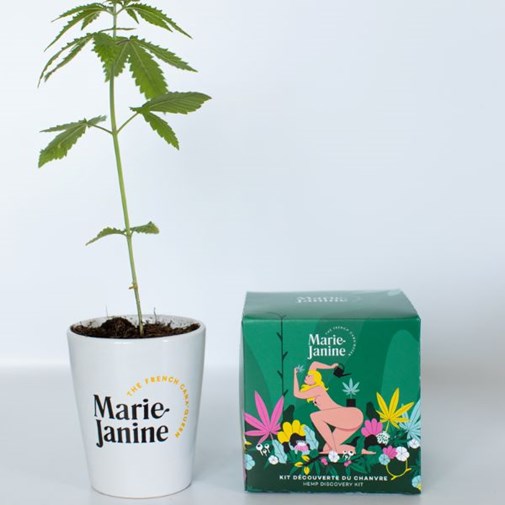 Kit de chanvre à planter_vert