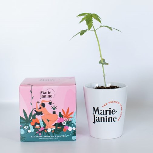 Kit de chanvre à planter_rose