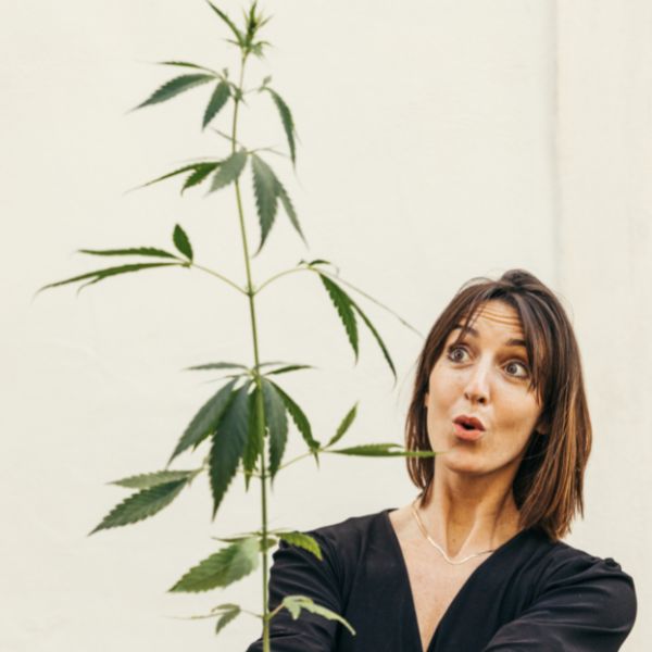 Kit de chanvre à planter_rose 4