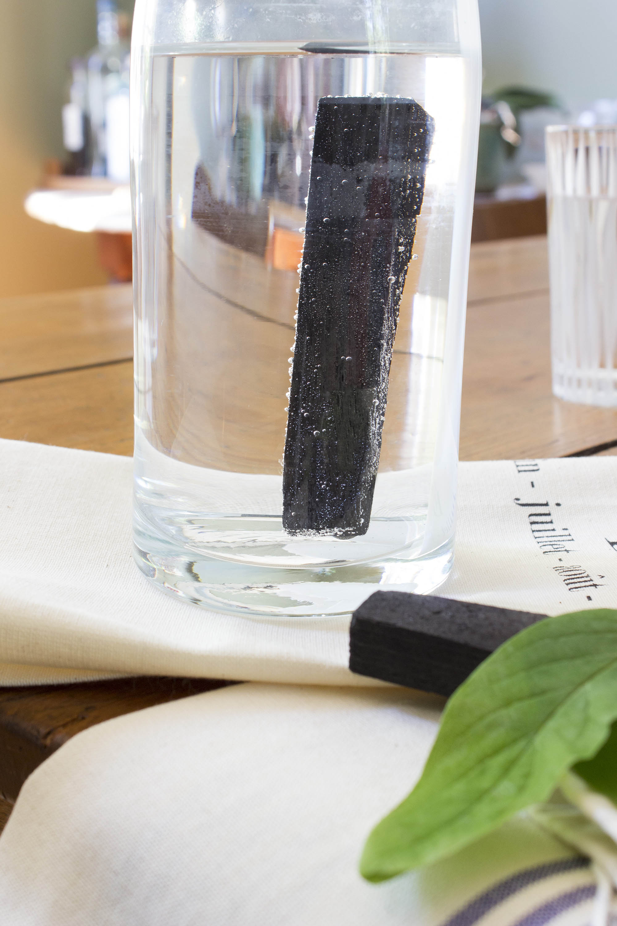 Le Charbon Actif de la Reine - bâtonnet 15g 8