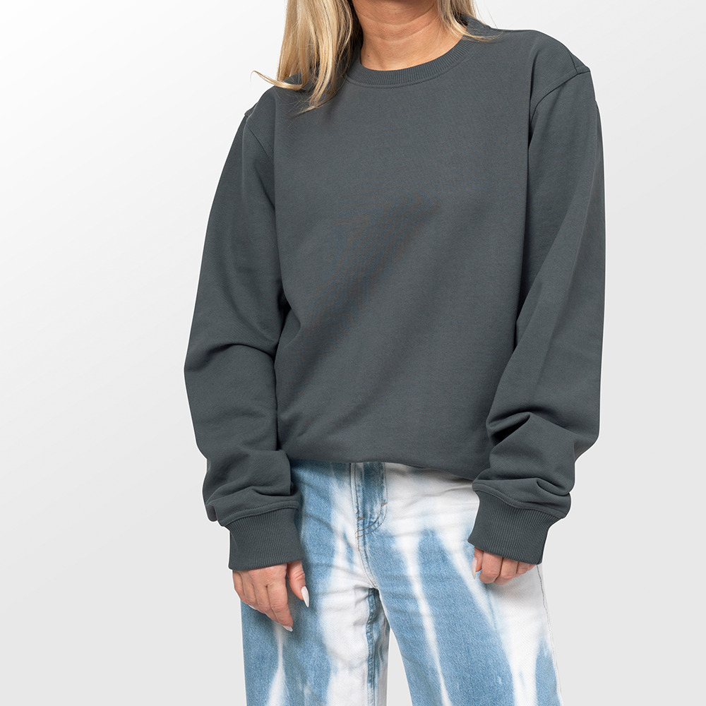 Sweatshirt Plain Gris 4
