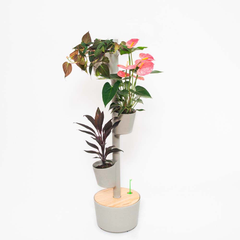 Jardinière verticale avec arrosage manuel 2