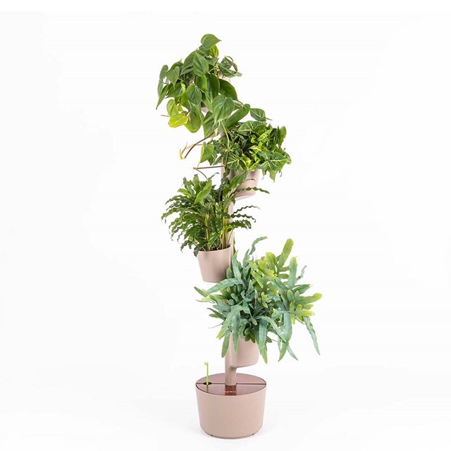 Jardinière verticale avec arrosage manuel 13