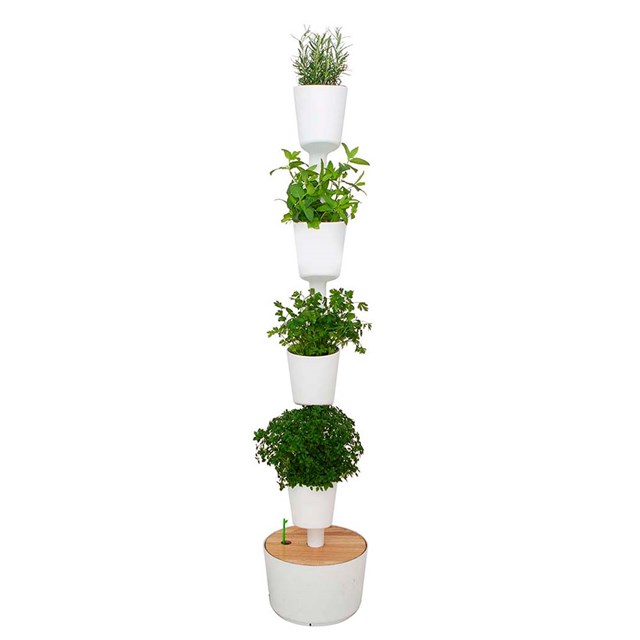 Potager urbain avec arrosage automatique 10