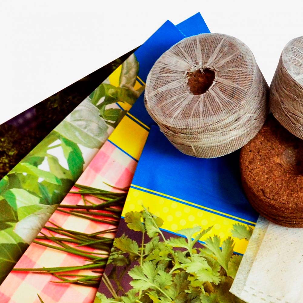 Potager urbain avec arrosage automatique 4