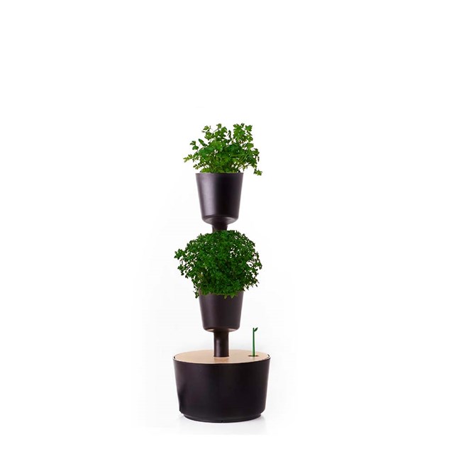 Jardinière verticale d'intérieur avec graine à arrosage automatique 3