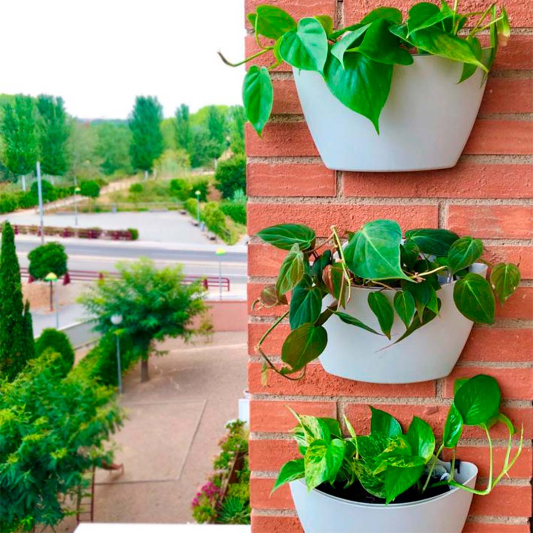 Lot de 3 pots muraux 7