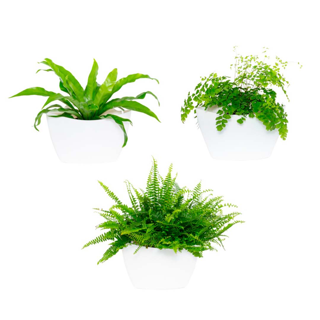 Lot de 3 pots muraux 9