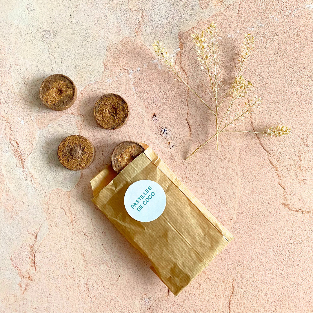 Pastille de coco pour vos semis 2