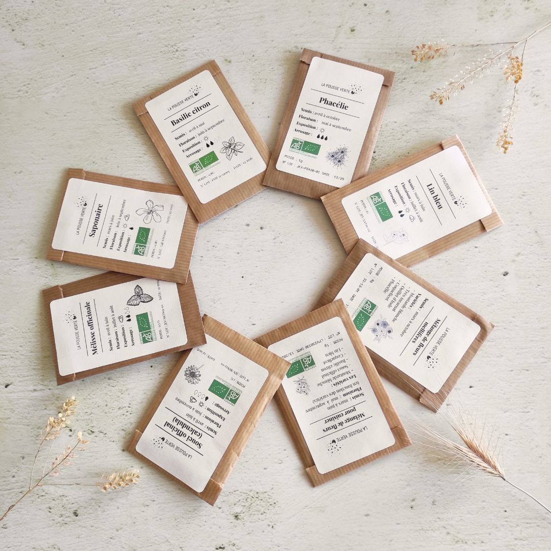 Graines bio de coquelicot des champs 2