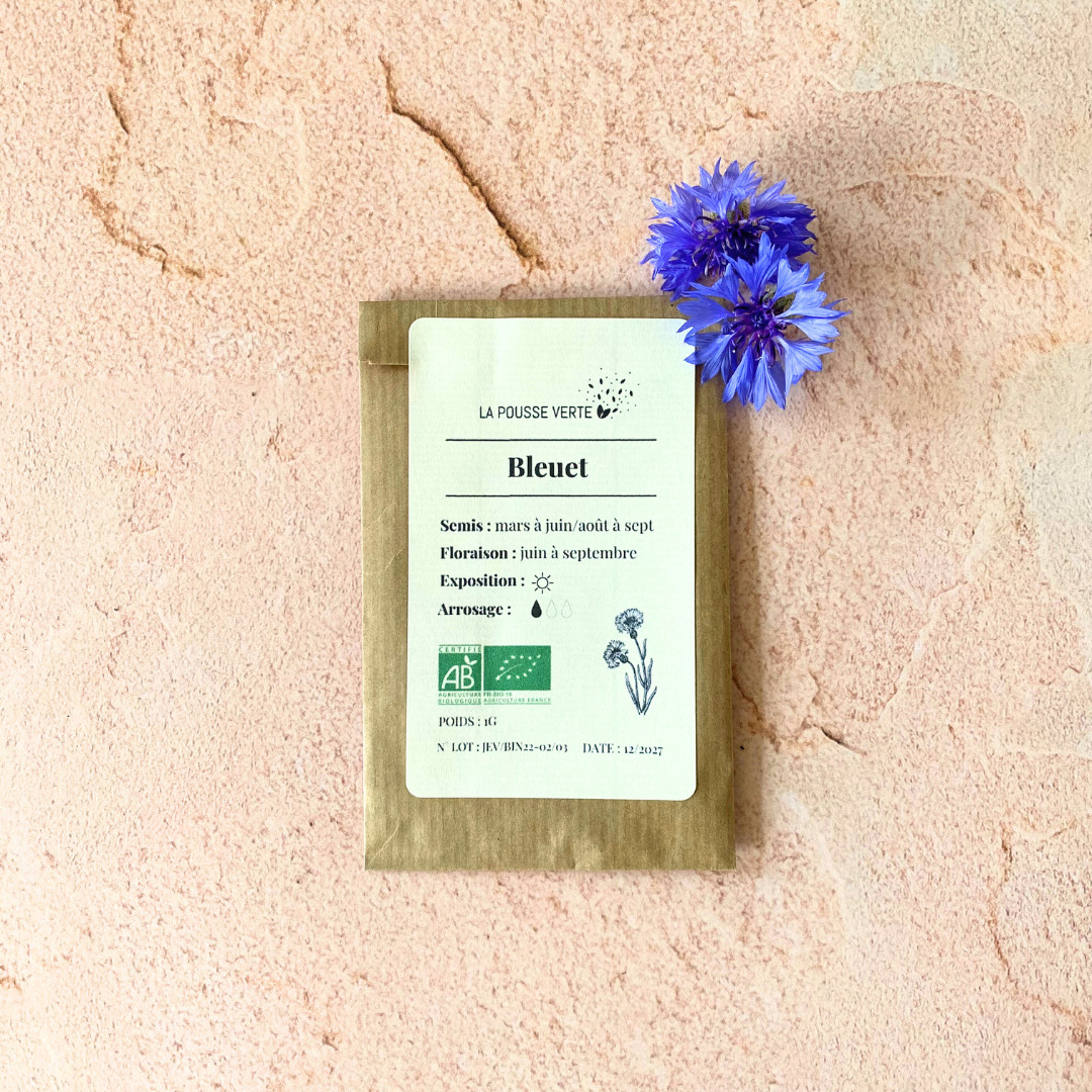 Graines bio de bleuet 3