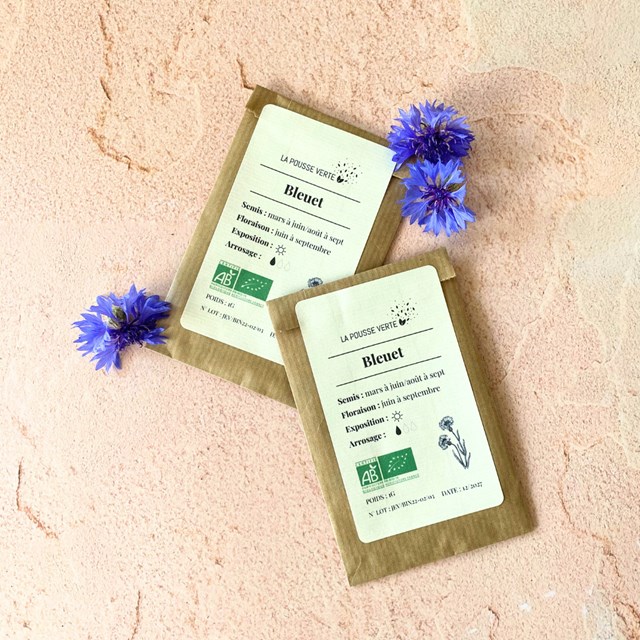 Graines bio de bleuet 4
