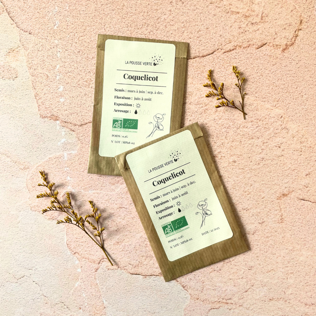 Graines bio de coquelicot des champs 4