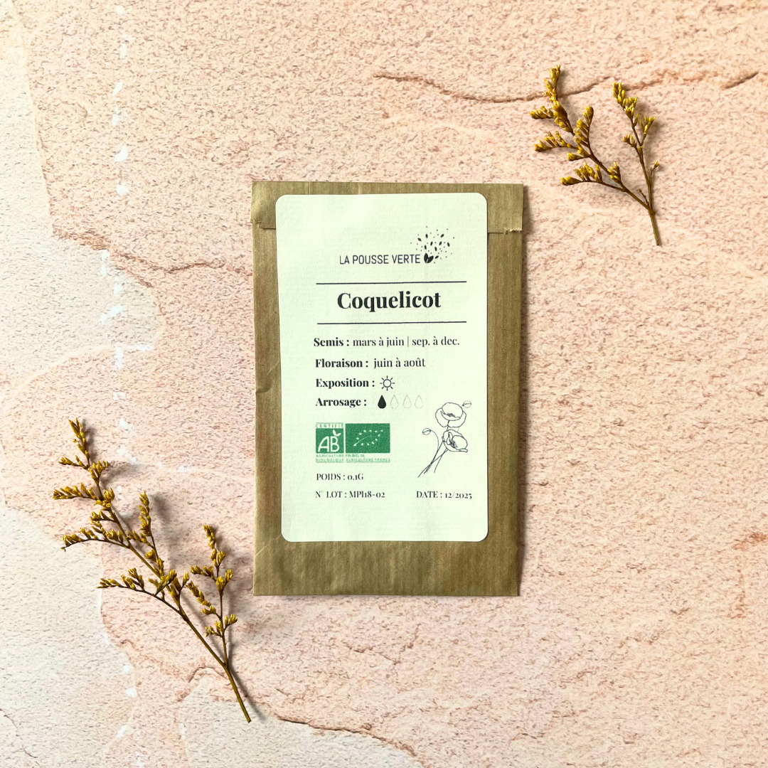 Graines bio de coquelicot des champs 3