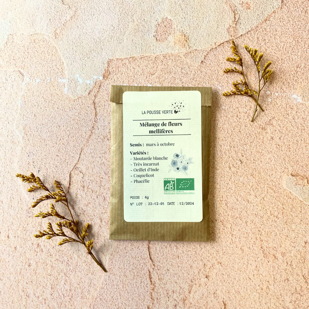 Graines de fleurs mellifères pour les abeilles 3