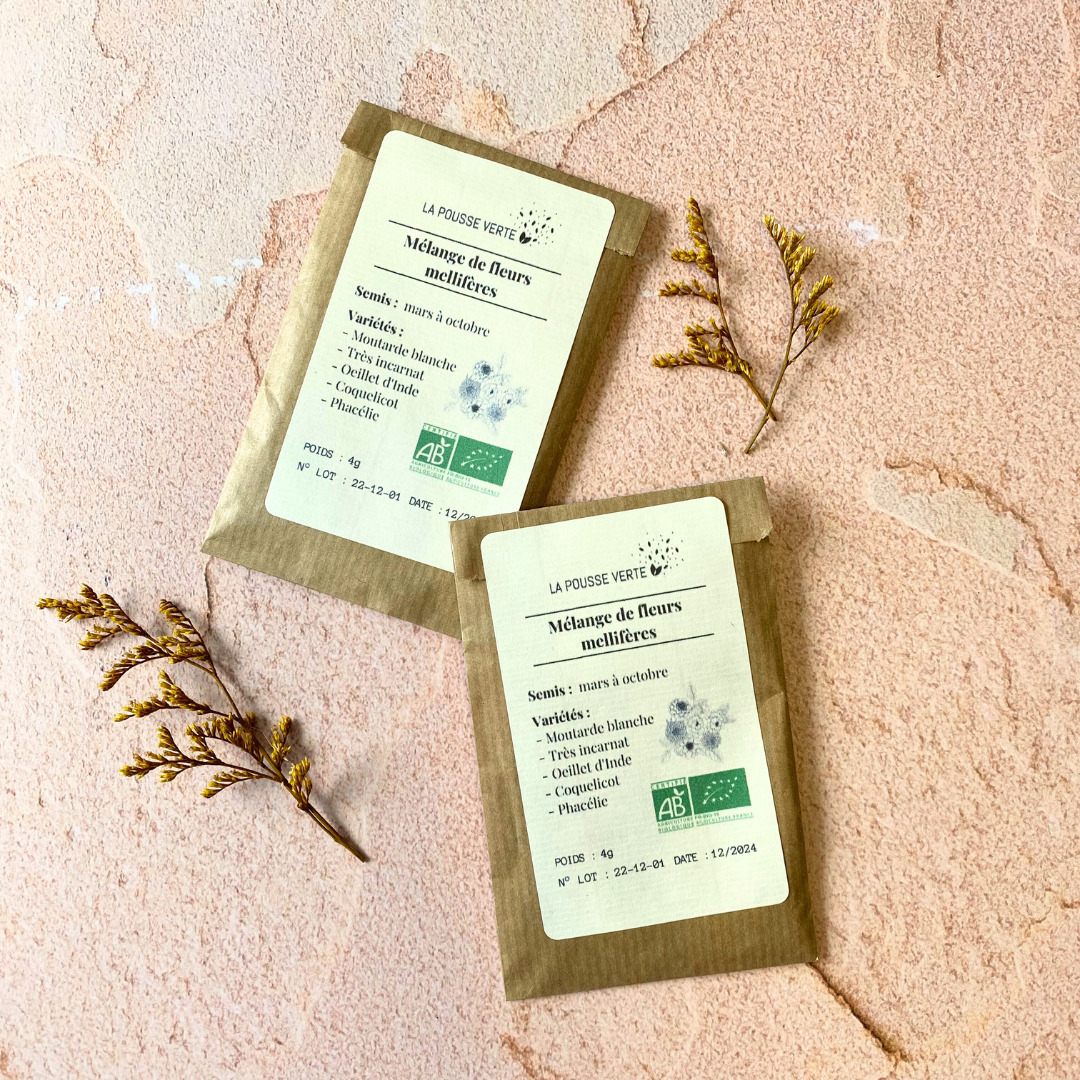 Graines de fleurs mellifères pour les abeilles 4