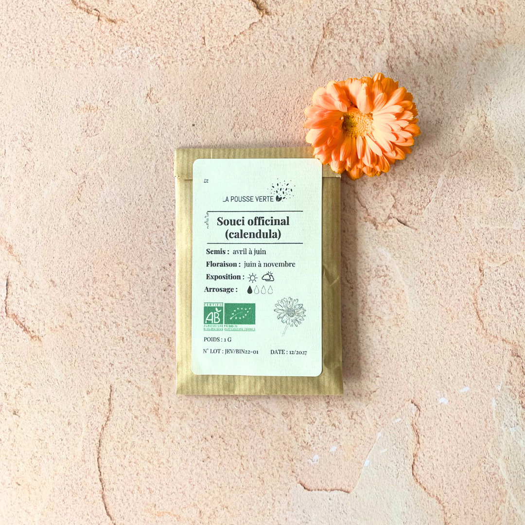 Graines bio de souci officinal 3