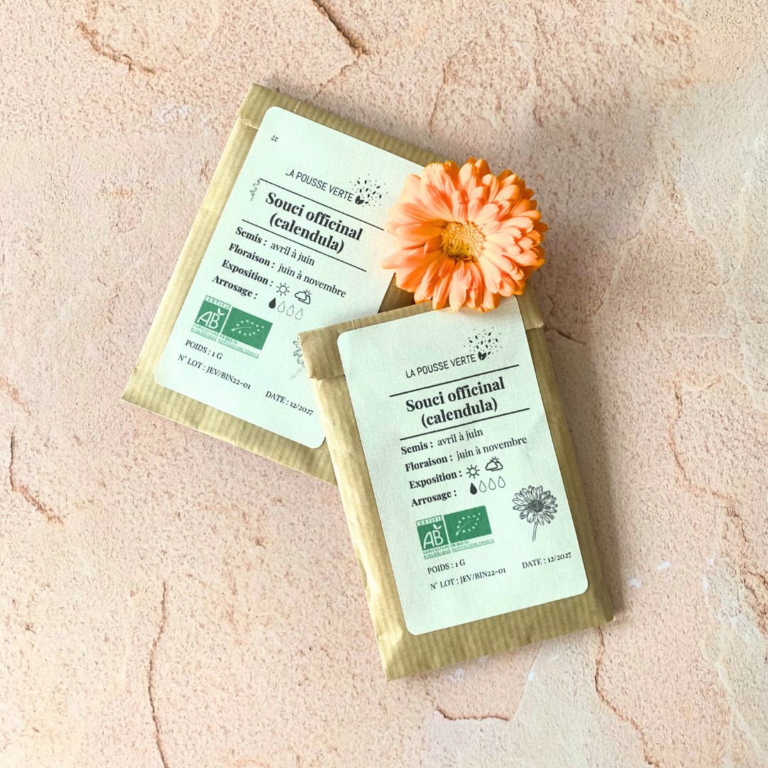 Graines bio de souci officinal 4