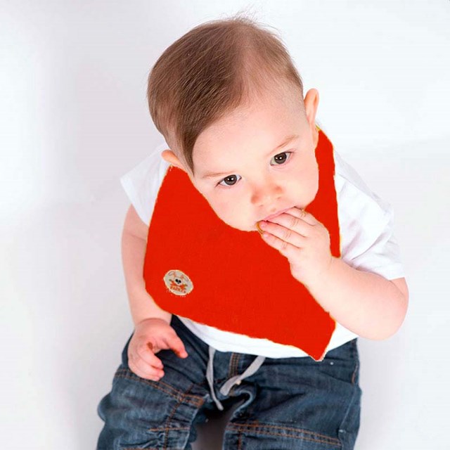Bavoir en Coton Bio Fraise 5