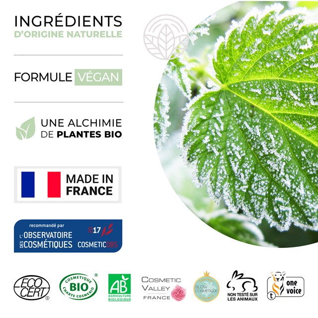 Crème Exfoliante Visage et Corps Vert Glacé 4