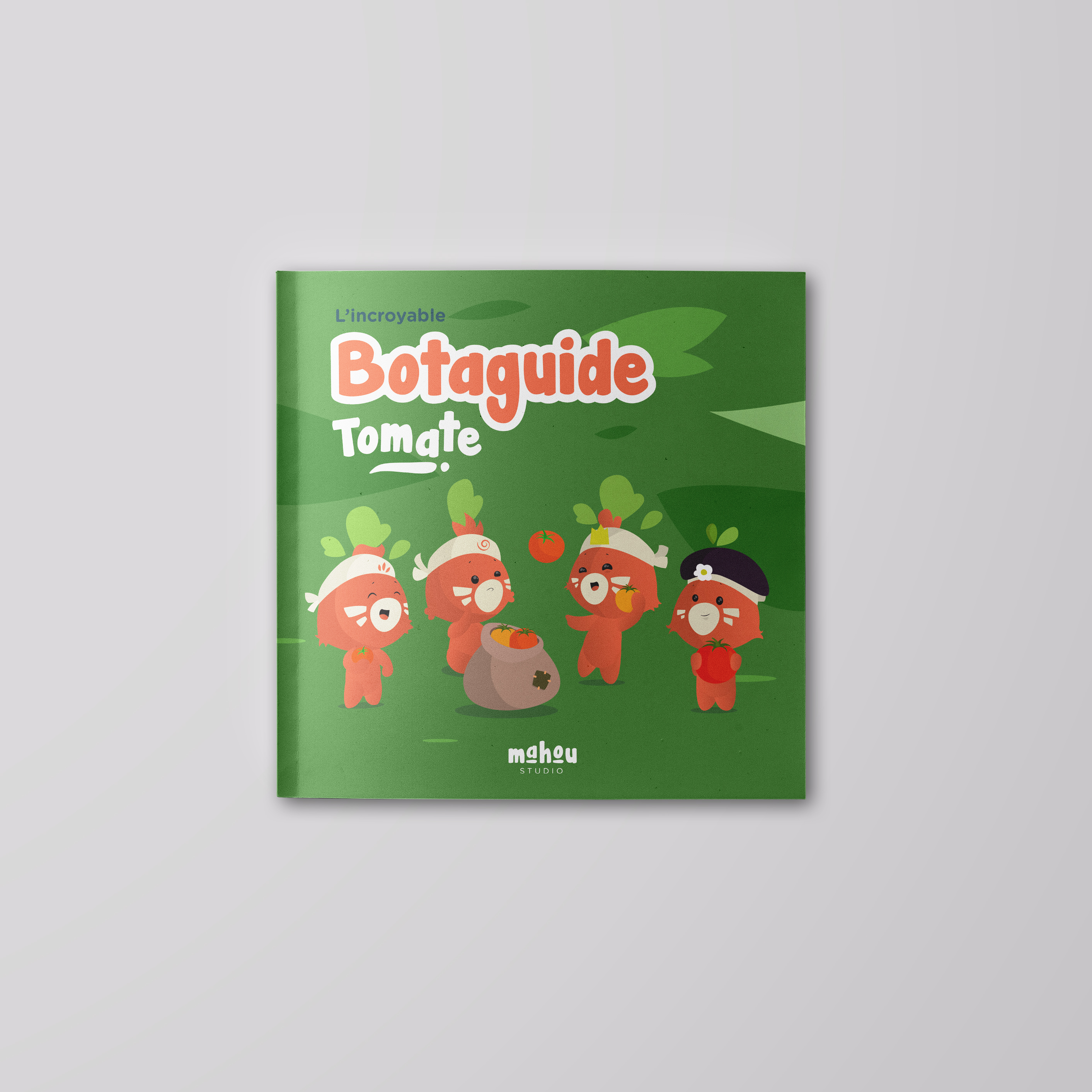 Le kit à semer tomate 3