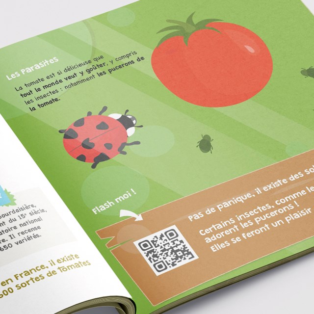 Le kit à semer tomate 5