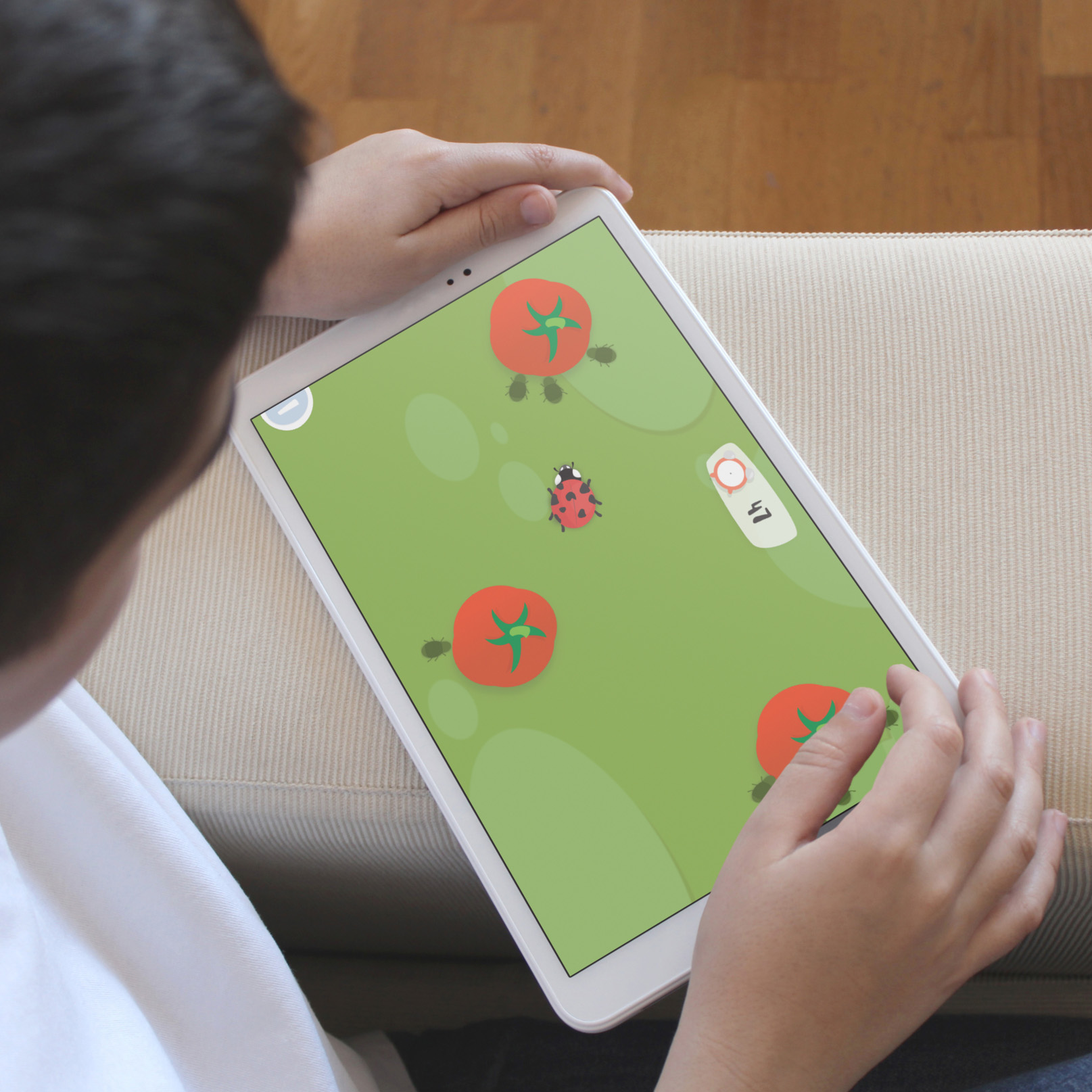 Le kit à semer tomate 6