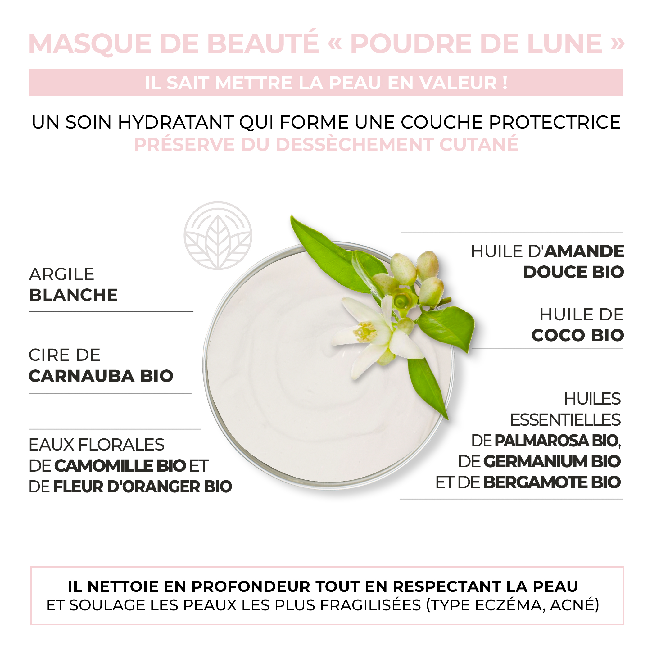 Masque de Beauté Purifiant Poudre de Lune 3