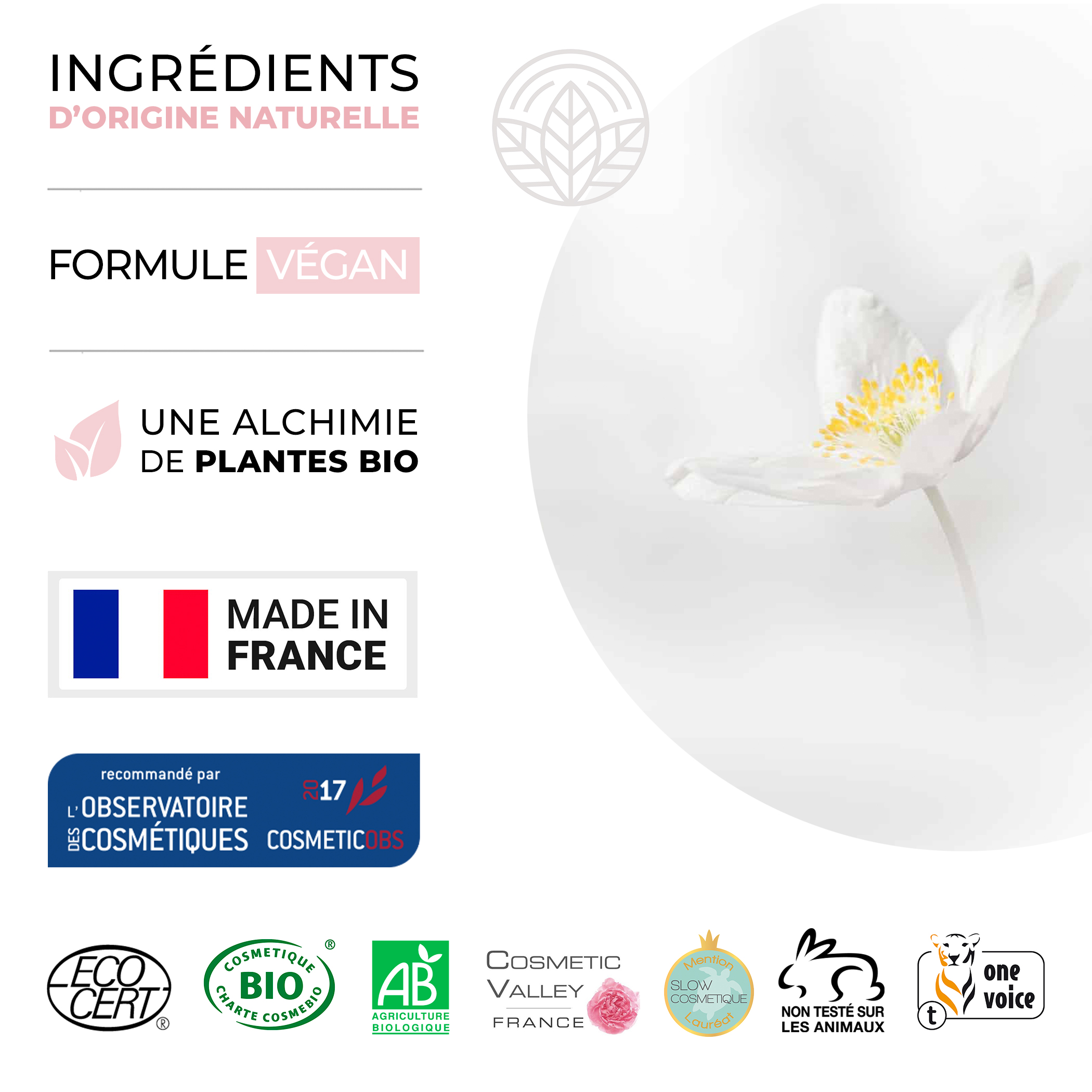 Masque de Beauté Purifiant Poudre de Lune 4