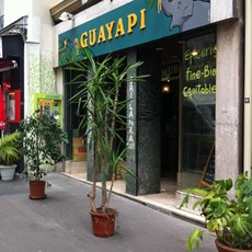 Guayapi Guayapi