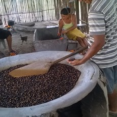 Guayapi Guayapi