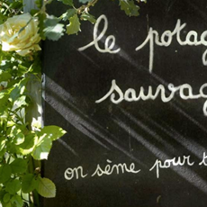 Graine & Ficelle Graine & Ficelle