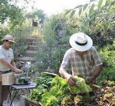 Association So Food Organic Food Association So Food Organic Food